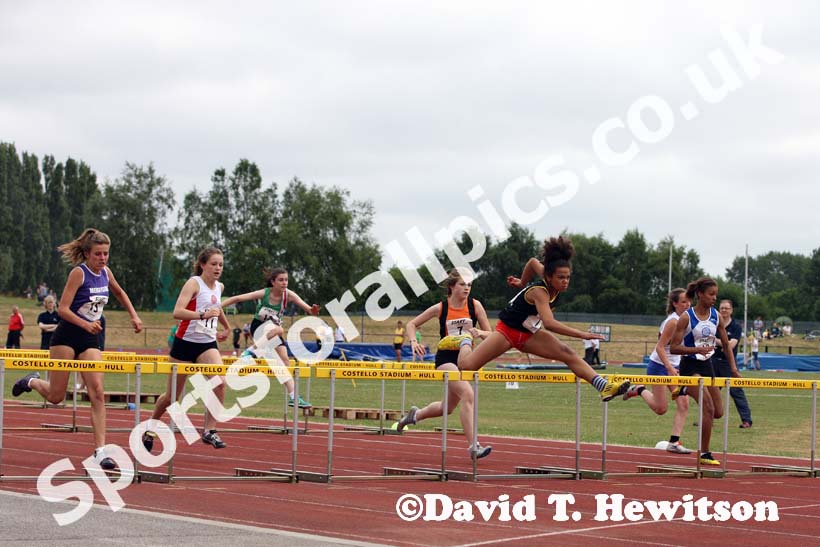 Hurdles 04.